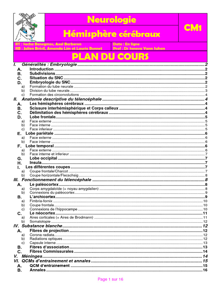 Anatomie et Fonction du Télencéphale | PDF | Système nerveux central ...