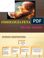 Fisiología Fetal