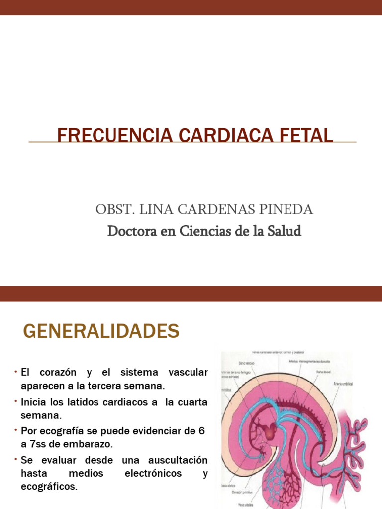 Frecuencia Cardíaca Fetal y Clasificación | PDF | Placenta | Feto