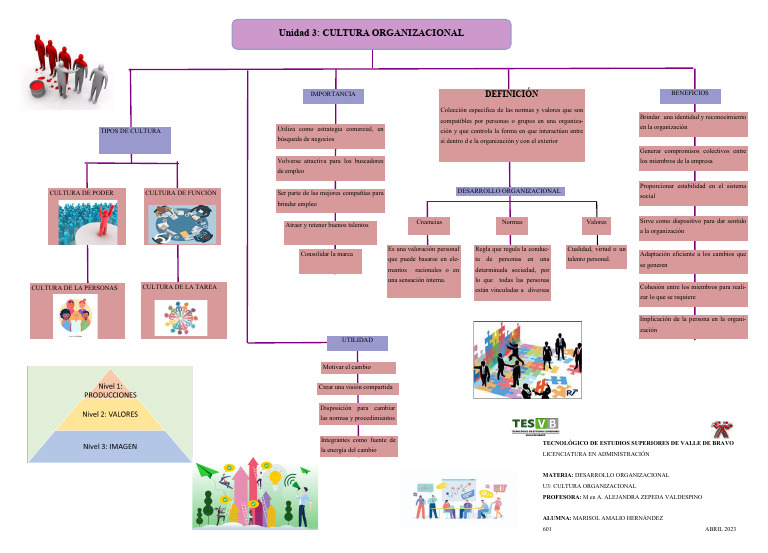 U3 Cultura Organizacional | PDF | Cultura organizacional | Business
