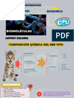 Bioquimica Tema