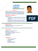 Reynel Angel Lapa Huaman: Resumen Profesional