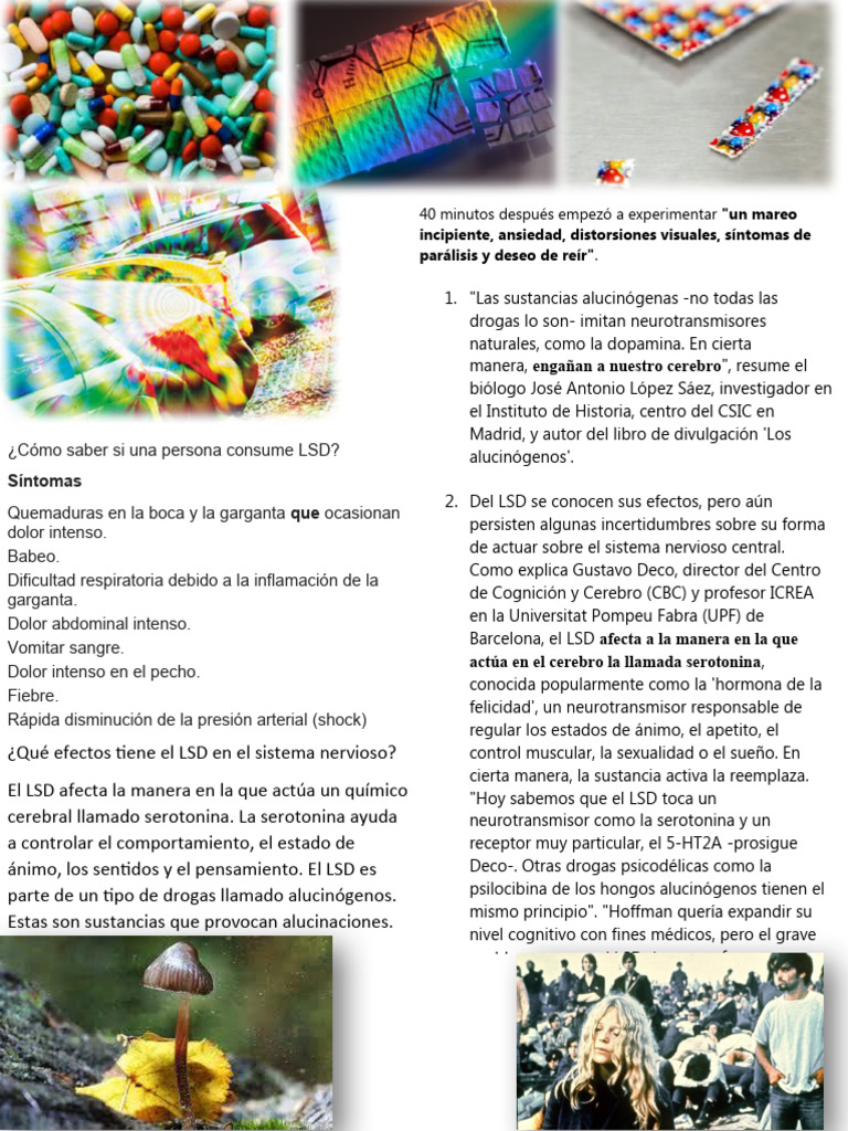 Efectos del LSD en el cerebro y síntomas | PDF | Alucinógeno | Drogas