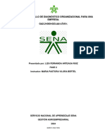 Desarrollo de Diagnostico Organizacional para Una Empresa