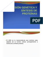 2. Sintesis_de_Proteinas