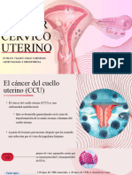 Cáncer Cérvico Uterino: Evelyn Vianey Chan Cornelio Ginecología Y Obstetricia
