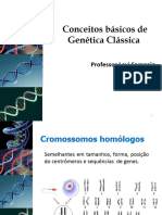 Conceitos Básicos de Genética Clássica