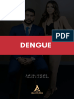 Resumo Dengue para Evento