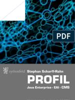 Systemfeld - Profil Stephan Scharff-Rahn - Java, Core Media, ActiveMQ, Camel, SOA, REST(1)