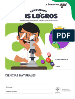 Prueba de Logros