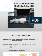 Anestesia, Eutanasia y Punto Final Humanitario 2023