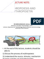 Erythropoiesis and Erythropoietin