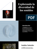 Explorando La Diversidad de Los Sonidos