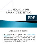 Embriologia Del Aparato Digestivo