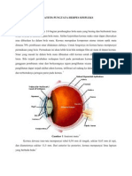 Keratitis Pungtata Herpes Simpleks