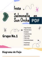 Grupo 1 Caso 2 Salmonella Sun.