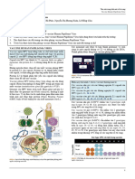 10.vaccine Human Papilloma Virus