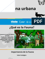 Fauna Urbana (2) - Compressed