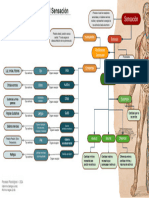 Mapa Conceptual Sensación Autonoma