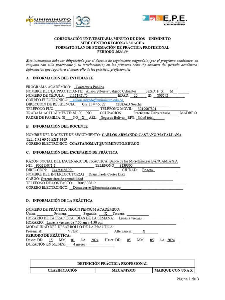 plan-de-pr-ctica-profesional-2024-40-pdf