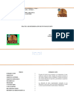 .Practica de Determinación de Puntos de Fusión