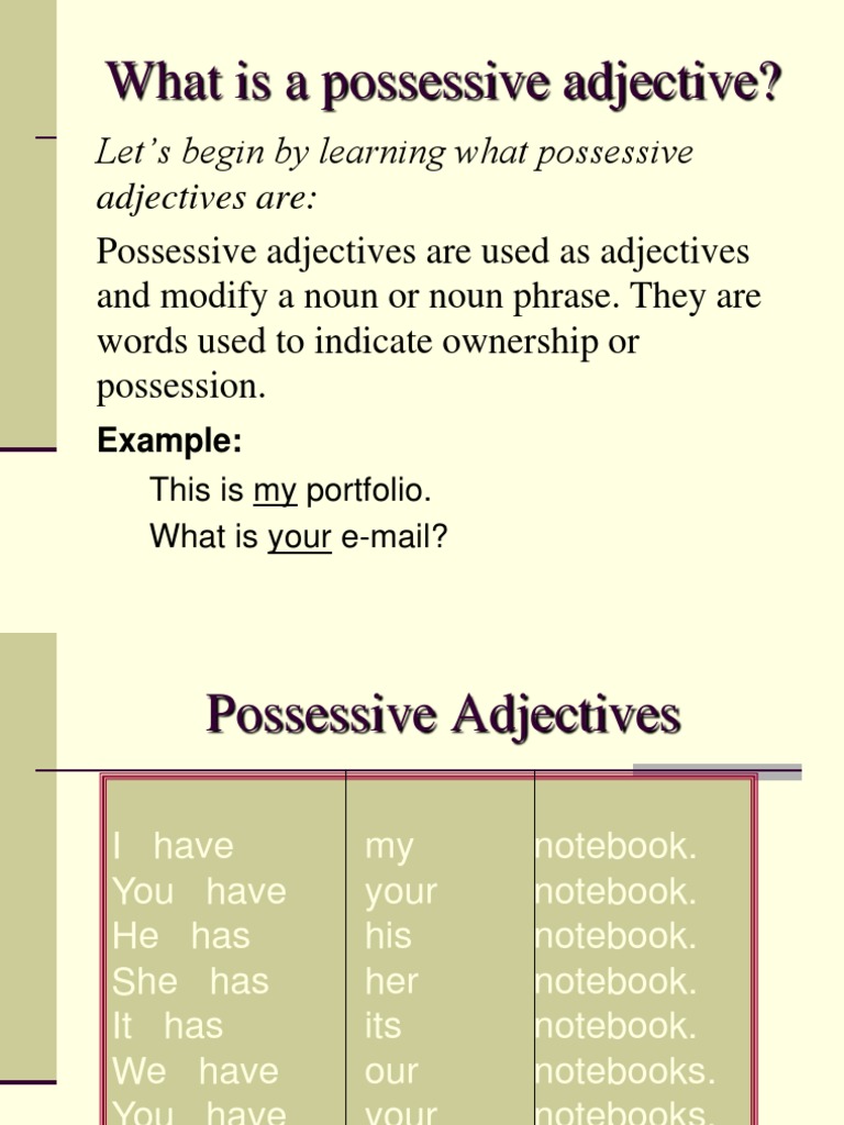 Possessive Adjectives Género gramatical Número gramatical