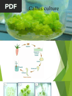 Plant Tissue Culture Laboratory Manual | PDF | Embryo | Sterilization ...