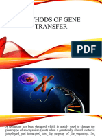 Methods of Gene Transfer