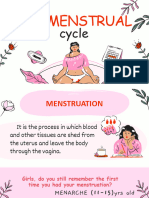 Menstruation Cycle