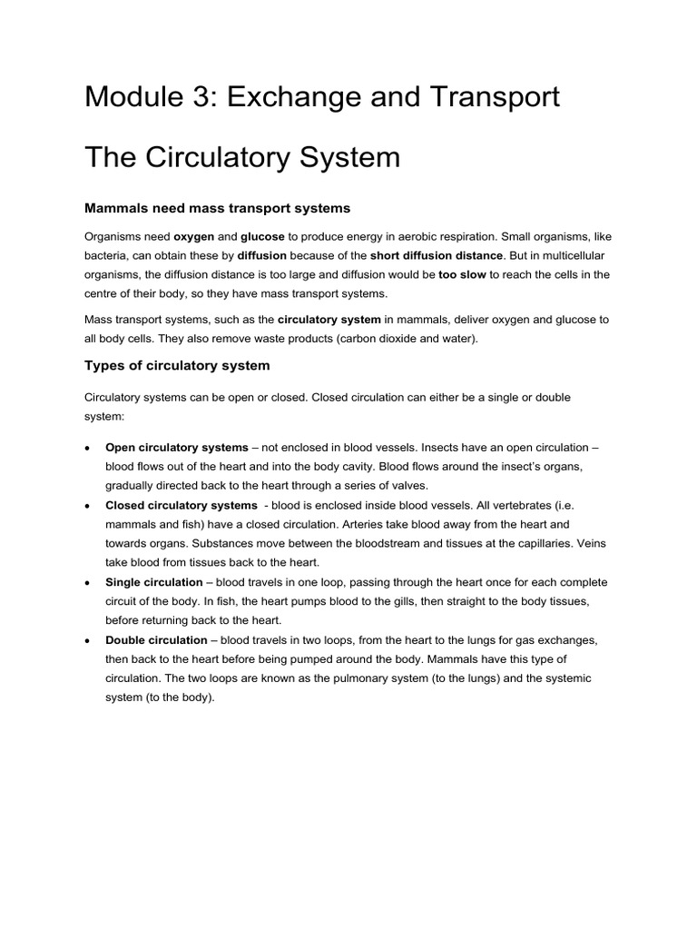 Module+3+The+Circulatory+System | PDF | Atrium (Heart) | Heart