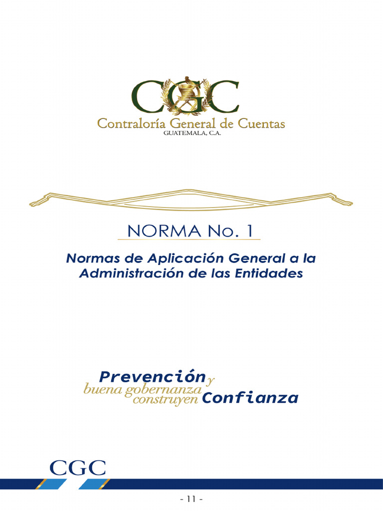 Normas de Control Interno Gubernamental | PDF