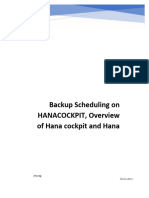 Hana Cockpit Backup Schedule