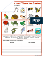 Bilderwörterbuch - Haustiere Und Tiere Im Garten