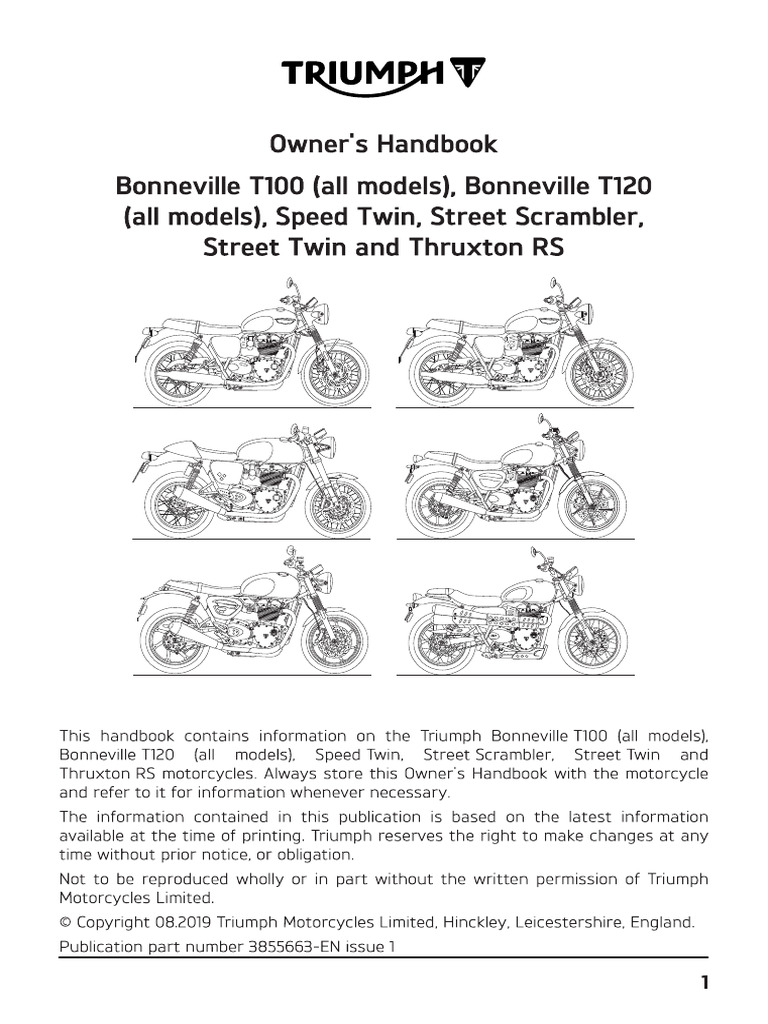 TRIUMPH AMERICA SERVICE MANUAL PDF visual data 5