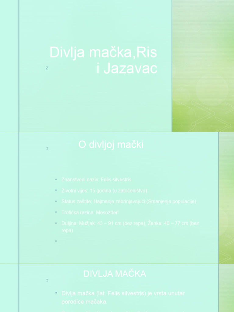 Divlja Mačka, Ris I Jazavac | PDF