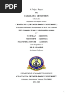 Fake Logo Detection Documentation-1