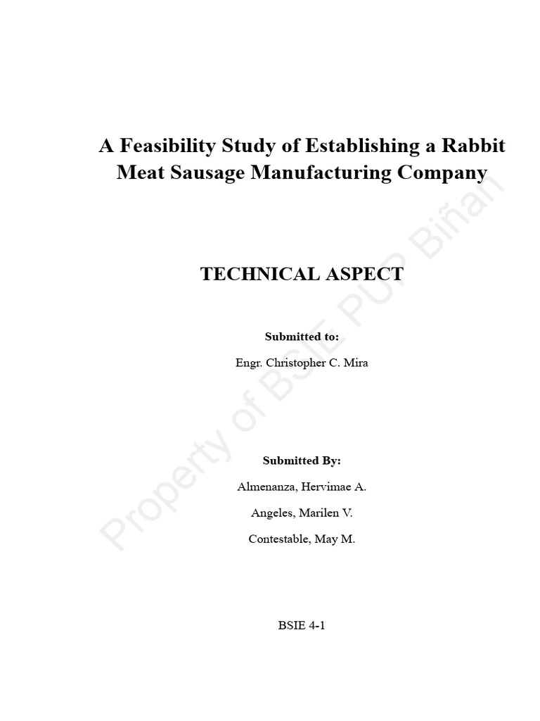 Rabbit Sausage Manufacturing Feasibility | PDF