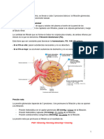 Fisiologia Renal