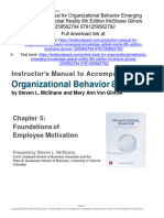 Organizational Behavior Emerging Knowledge Global Reality 8Th Edition Mcshane Solutions Manual Full Chapter PDF