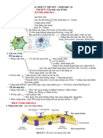 Kiến thức chương 5 - sinh 10