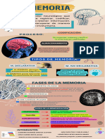 Organizador - Memoria