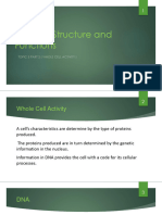 Whole Cell Activity