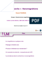 Nano-Magnetisme Tournus