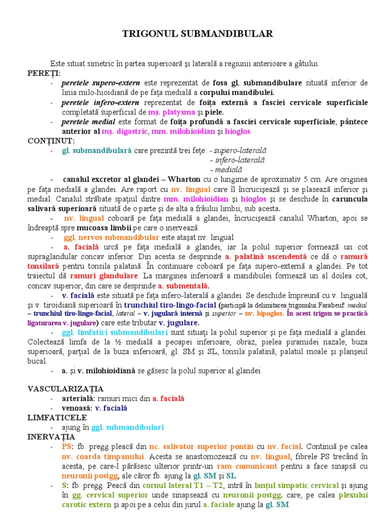 Trigonul Submandibular | PDF