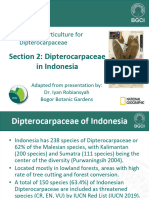Section 2: Dipterocarpaceae in Indonesia: Conservation Horticulture For Dipterocarpaceae