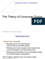 Agec 251-Consumer Demand Theory 4