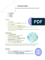 THE STAGES OF MITOSIS Biology 2nd GRADING