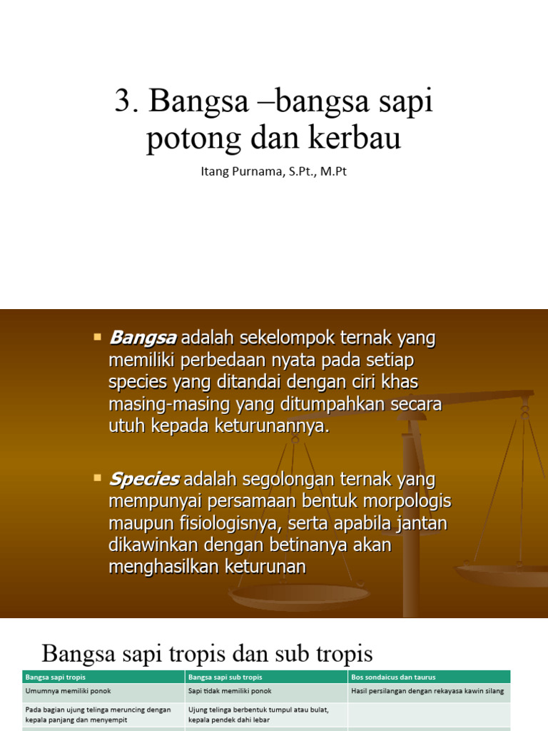 Jenis-Jenis Sapi di Indonesia | PDF