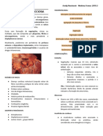 Endocardite Infecciosa