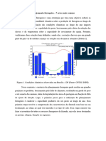 Planejamento Forrageiro - 7 Erros Mais Comuns